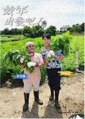 一起造房子 综艺海报